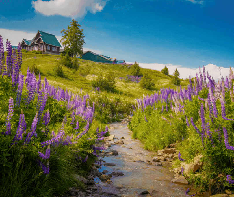 Mountain landscape